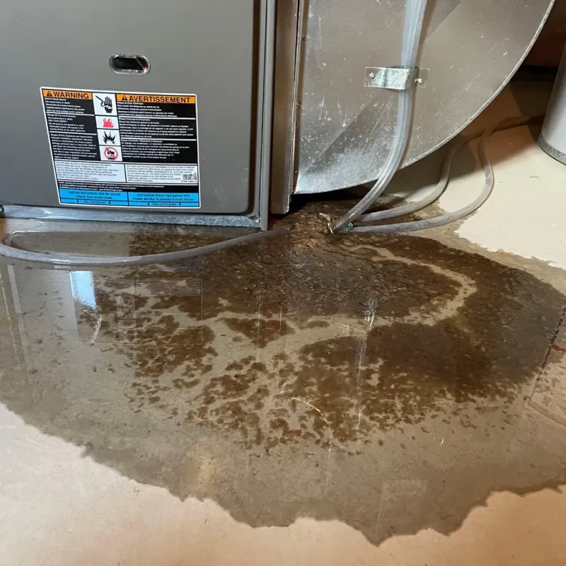 Appliance Leak Cleanup in Vevay, IN